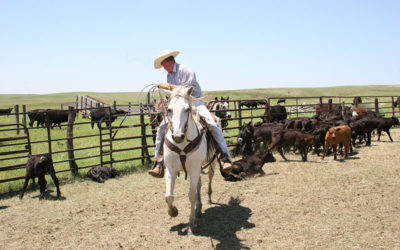 Hunting Land in Kansas - Hunt the Hashknife Ranch