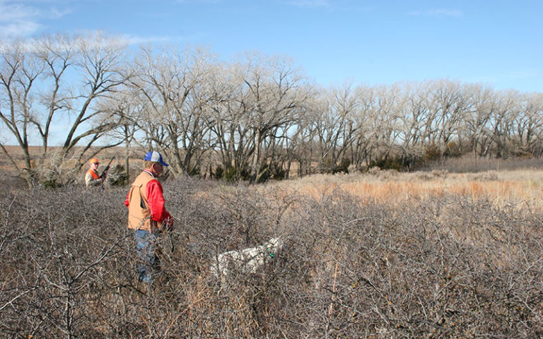 Hunting Land in Kansas - Hunt the Hashknife Ranch